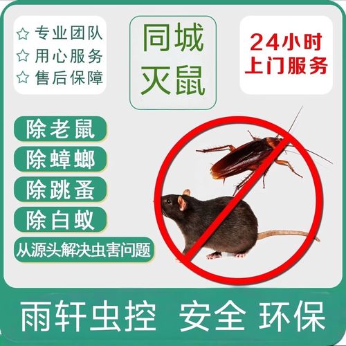 同城上门灭蟑螂服务除蟑螂专业灭蟑螂高效家庭灭蟑螂安全环保食品厂灭